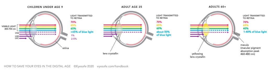 Childrens eyes are more vulnerable to high-energy blue light