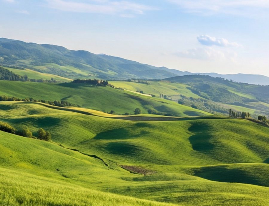 Landscape on a phone screen, unchanged